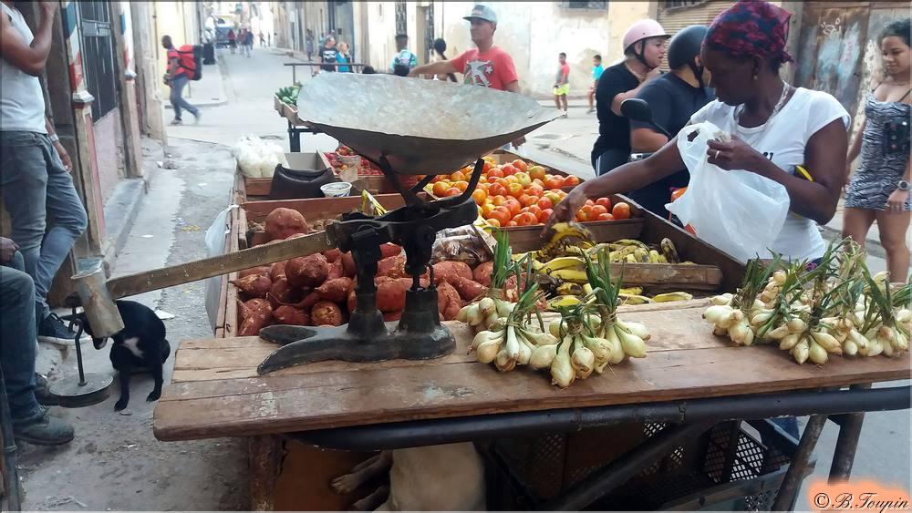 Marchand de fruits dans les rues de la vielle ville.